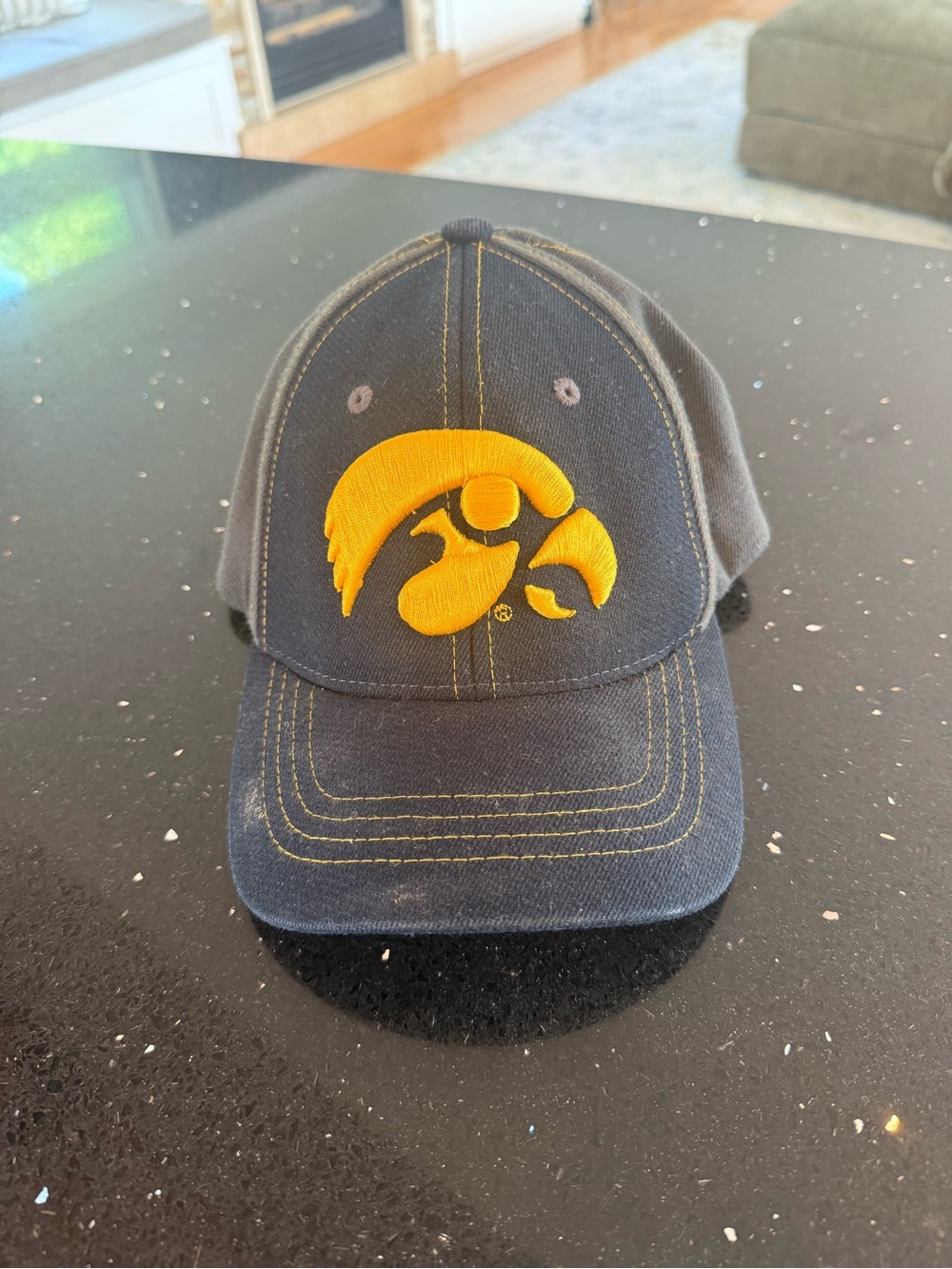 Zephyr Black and Gold Embroidered Logo Hat
